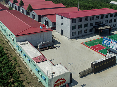 專(zhuān)業(yè)的充電樁經(jīng)營(yíng)模式